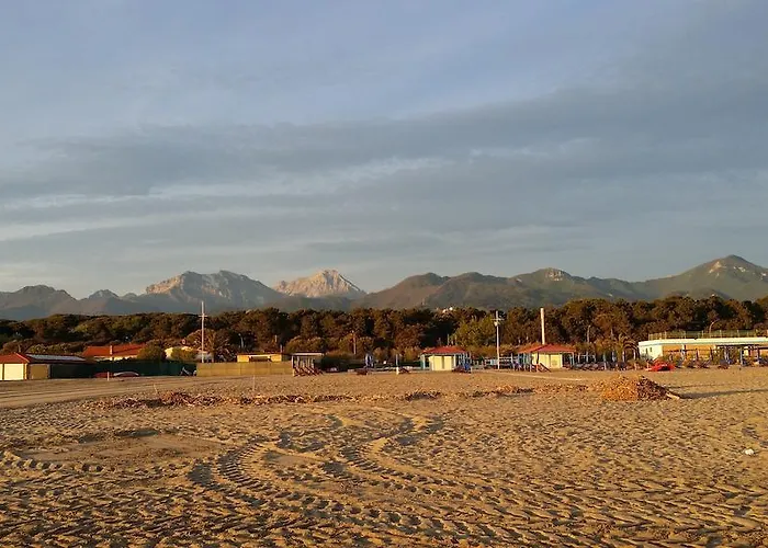 Flores Marina di Pietrasanta