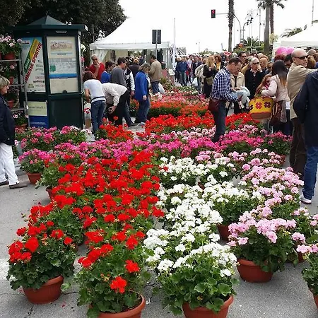 Flores Готель 3*