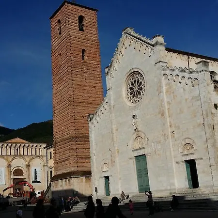 Flores Marina di Pietrasanta