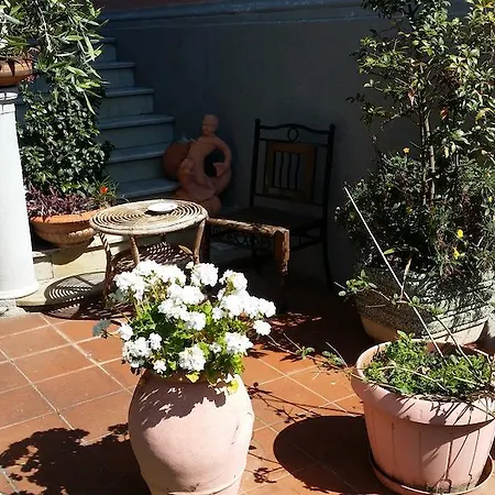 Flores 3* Marina di Pietrasanta