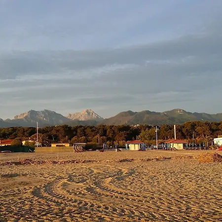 Flores Marina di Pietrasanta