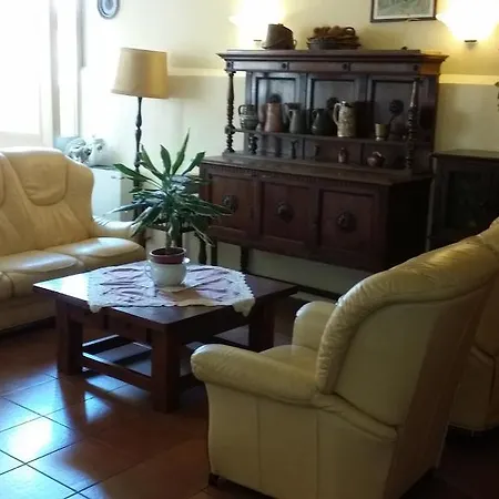 Flores Hotel