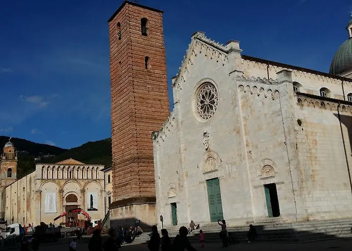 Flores Marina di Pietrasanta